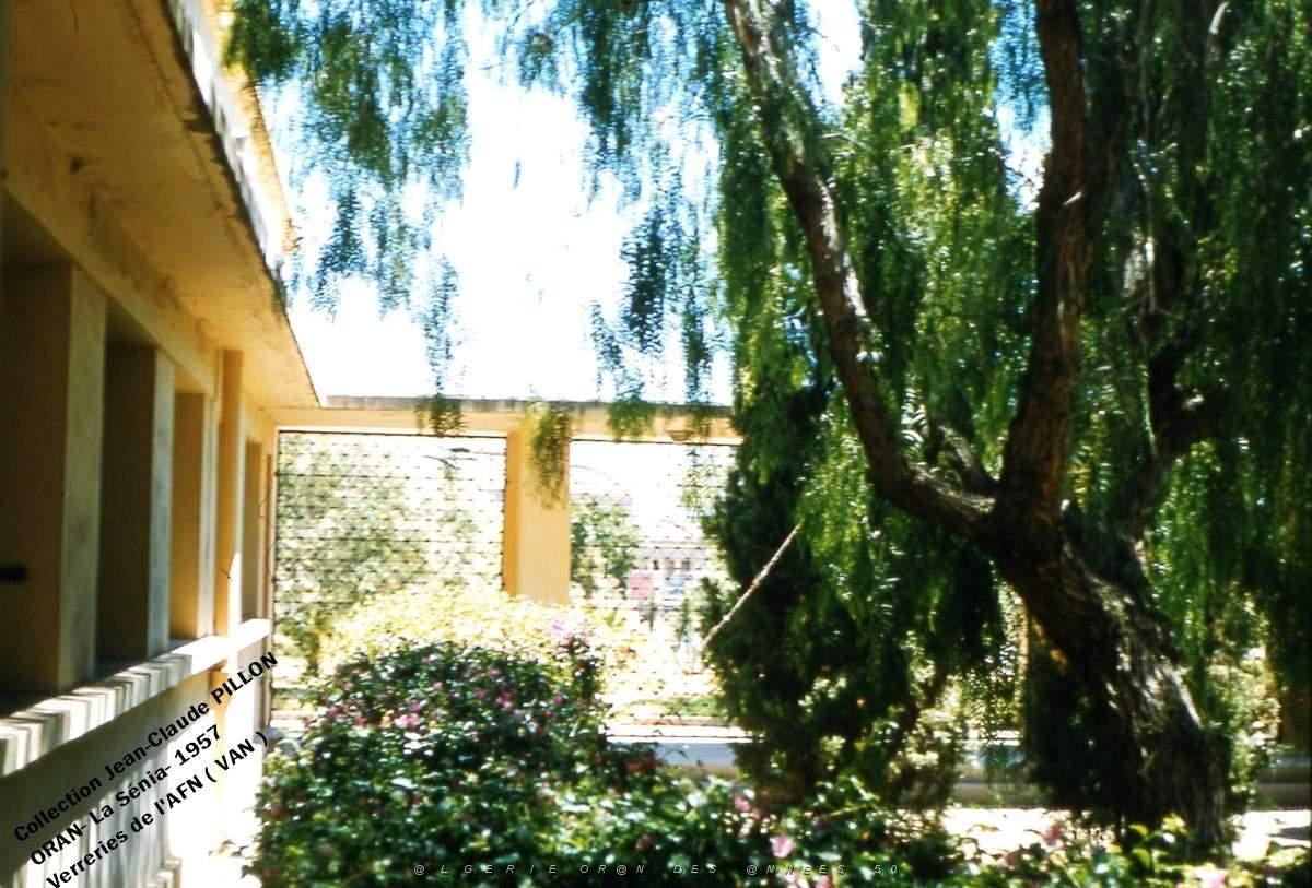 patio6.jpg