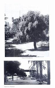 app17