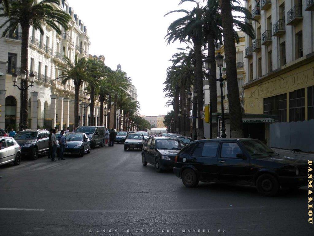 IMGP0208.jpg