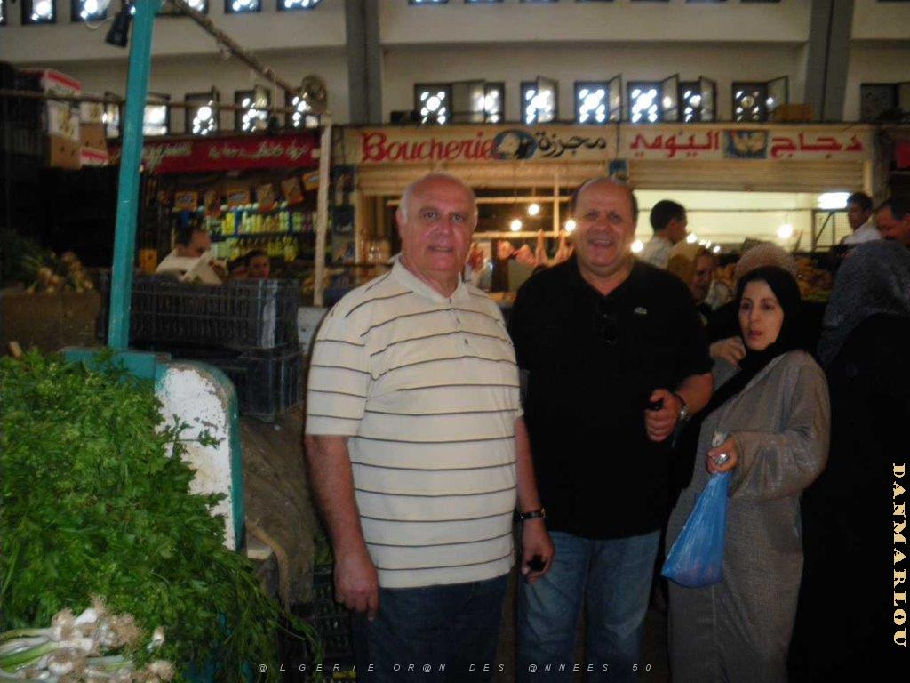 IMGP0214.jpg