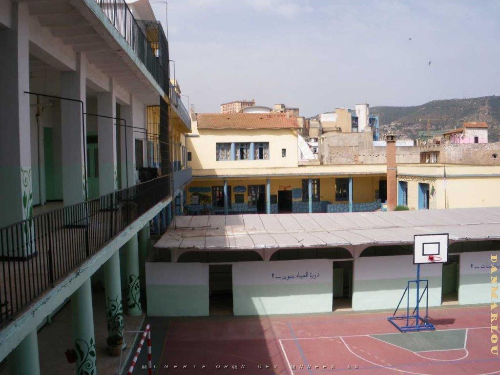 IMGP0223.jpg