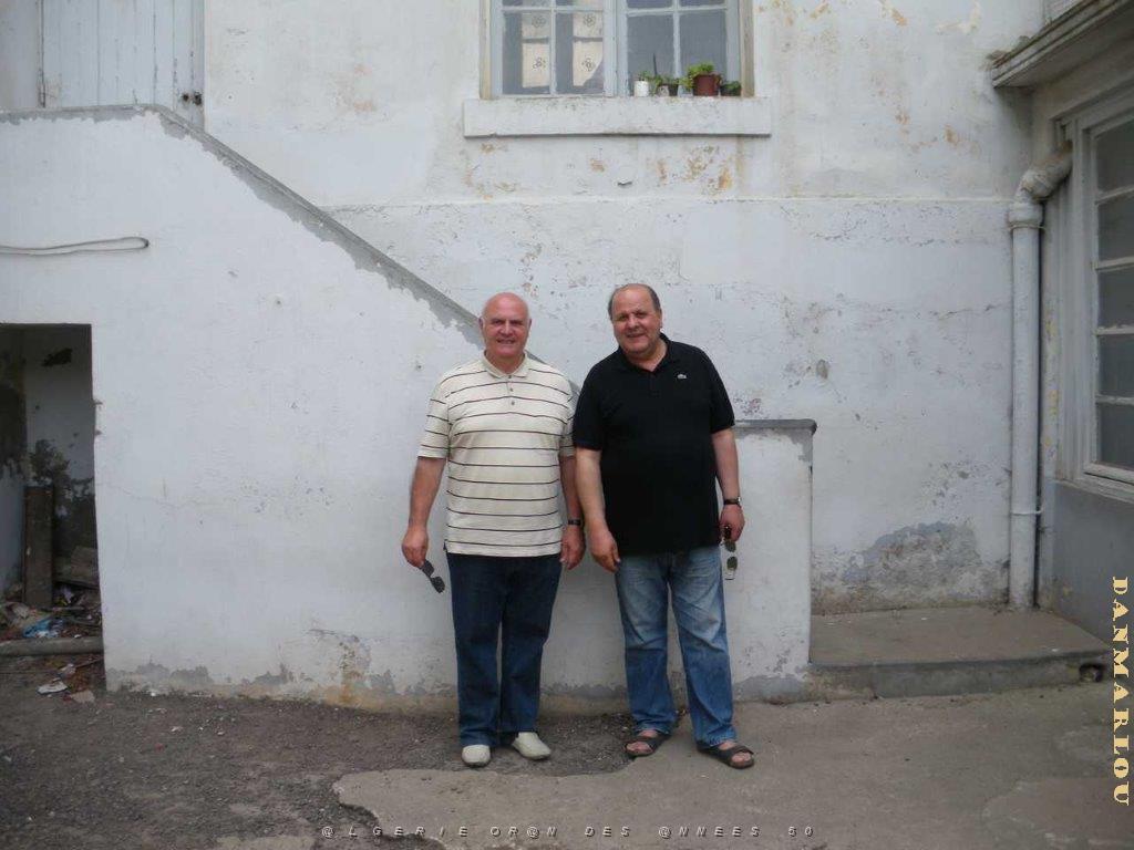 IMGP0227.jpg