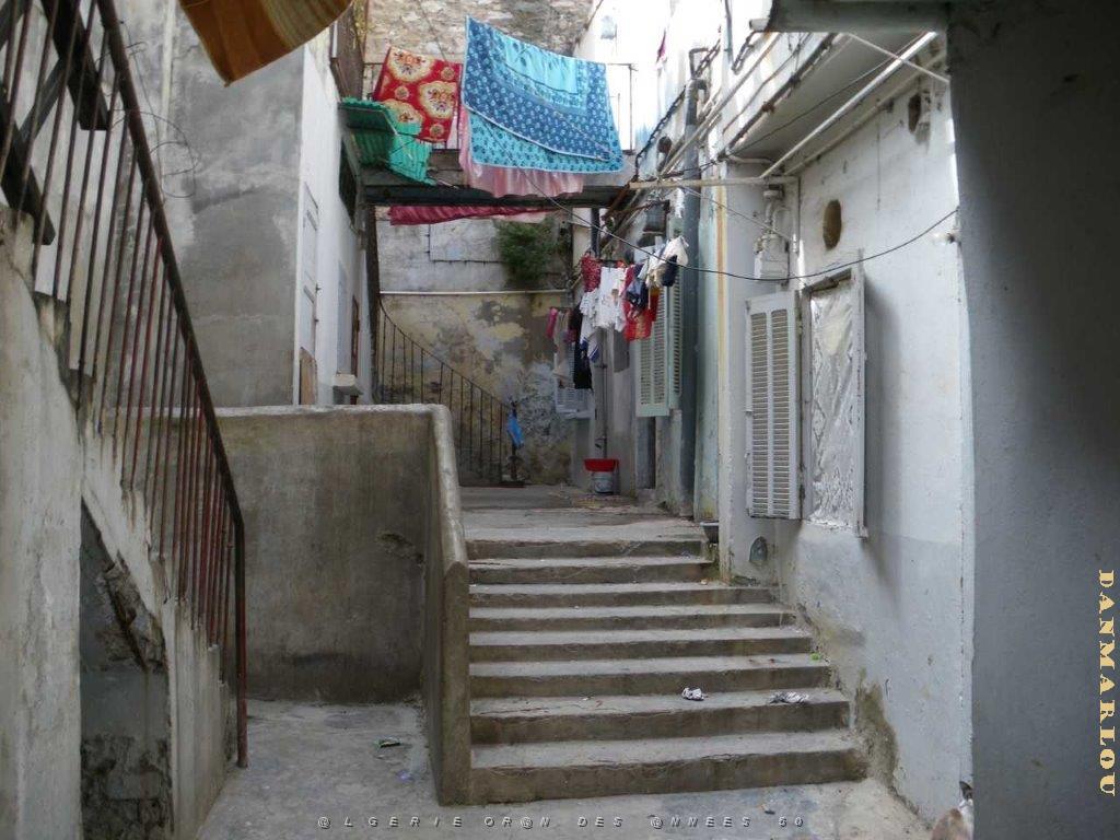 IMGP0237.jpg