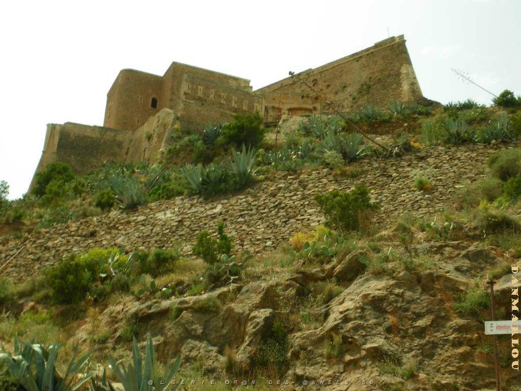 IMGP0296.jpg