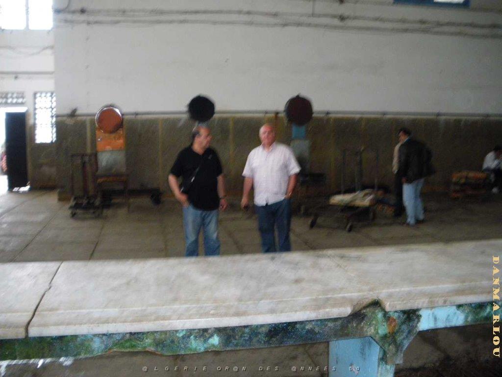 IMGP0413.jpg