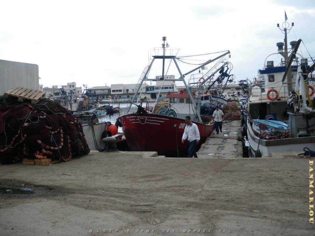 IMGP0416.jpg