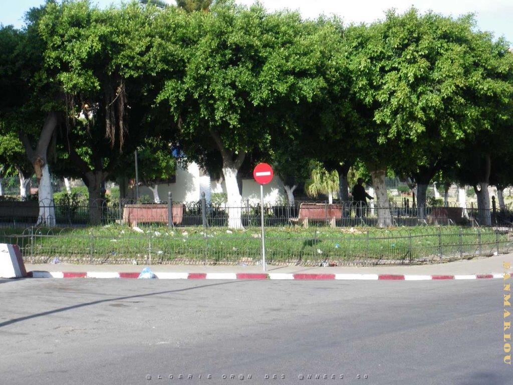 IMGP0454.jpg