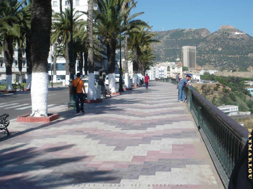 IMGP0510.jpg