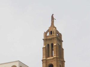 IMGP0279