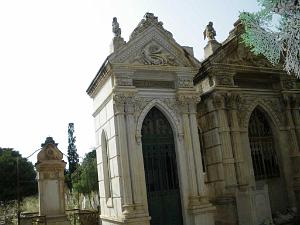 IMGP0346