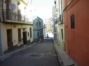 IMGP0494