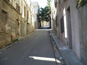 IMGP0500