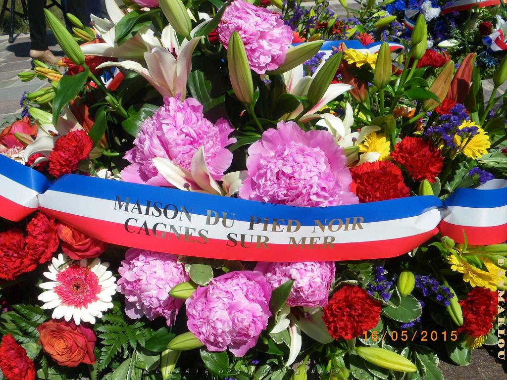 IMGP6024.JPG