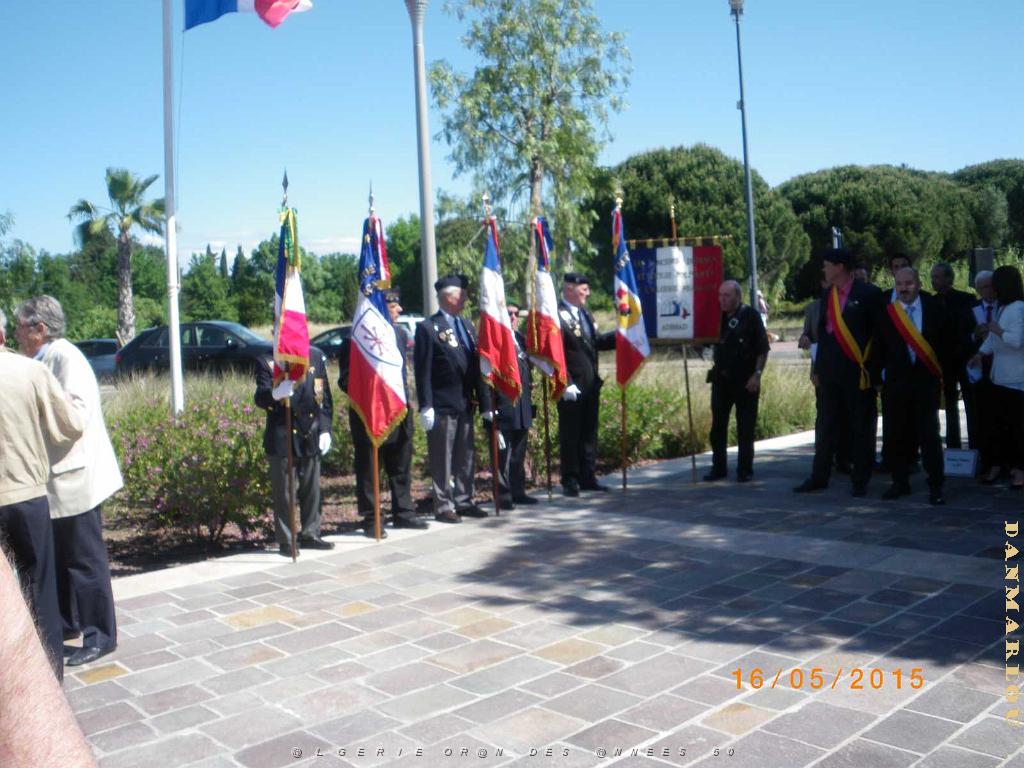 IMGP6029.JPG