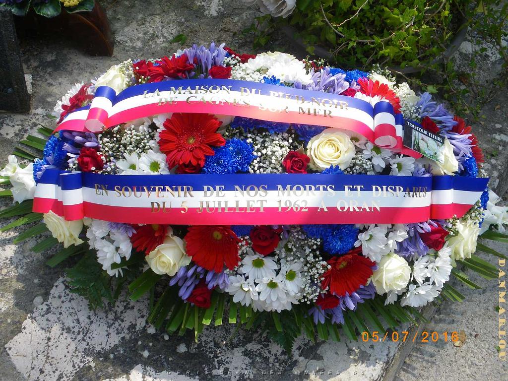 IMGP7261.JPG