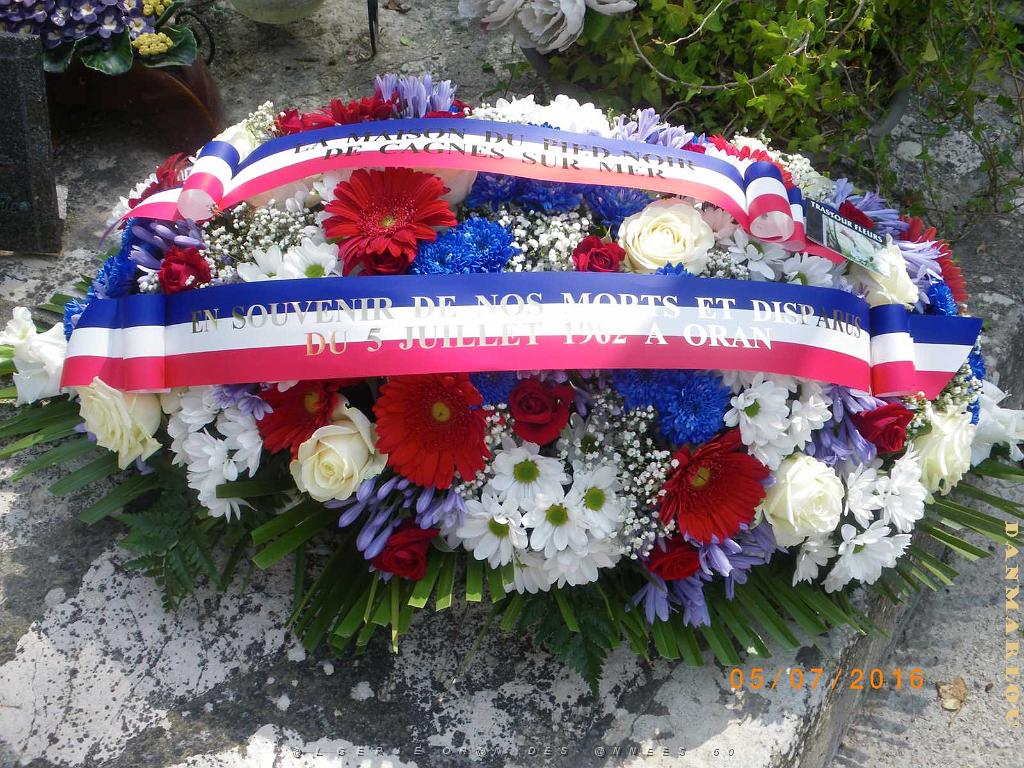 IMGP7262.JPG