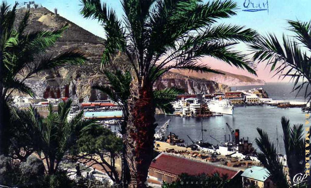 oran-travers-palmiers.jpg