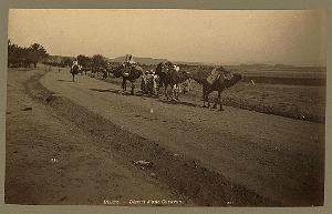 Algeriedepartunecaravanebiskra