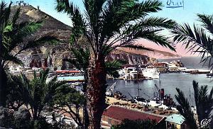 oran-travers-palmiers