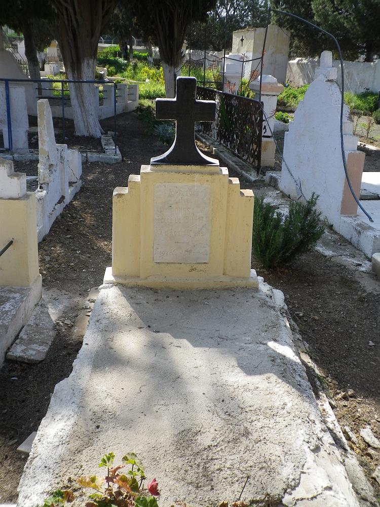1785.JPG