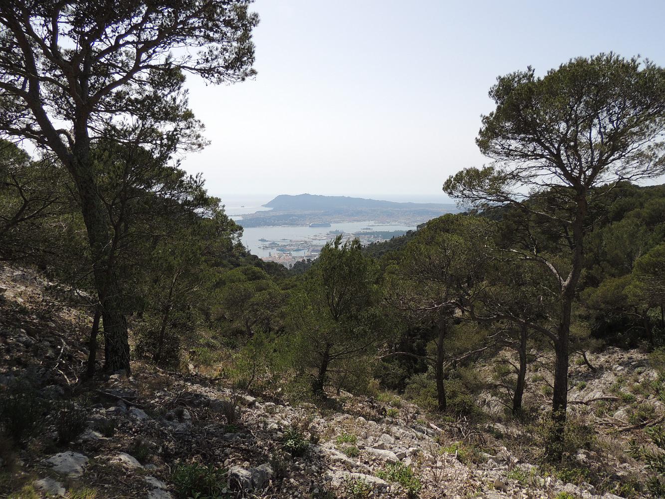 DSCN0489.JPG -           