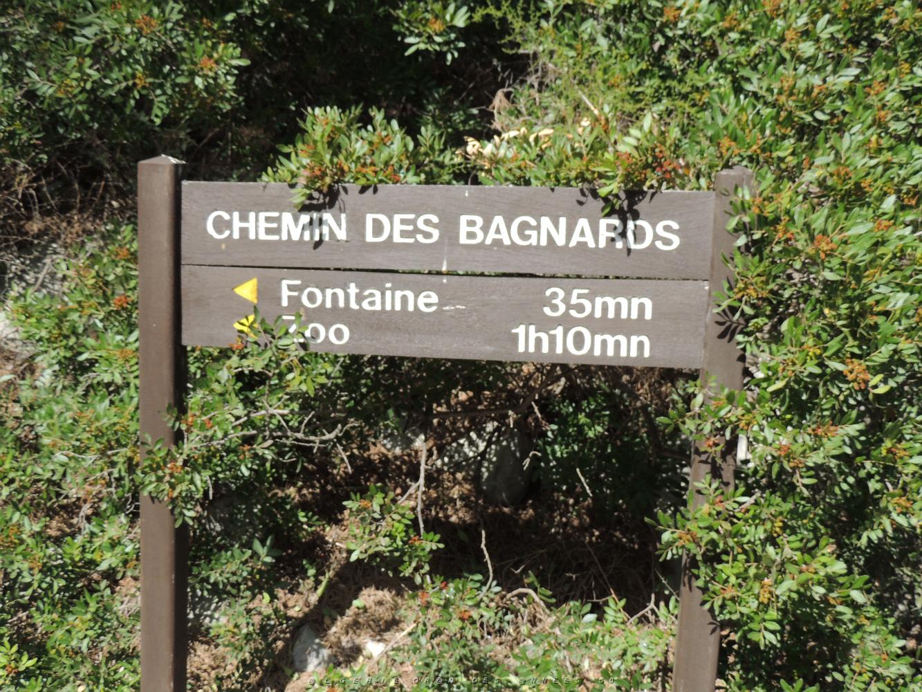 DSCN0514.JPG -           