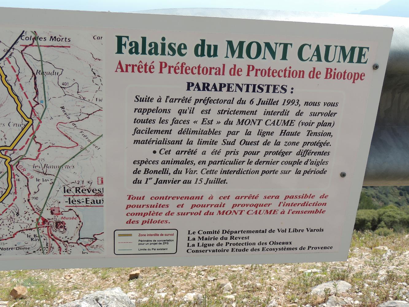 CAUME-DSCN0696.JPG -           