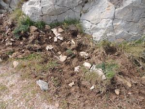 CAUME-DSCN0707