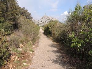 CAUME-DSCN0708