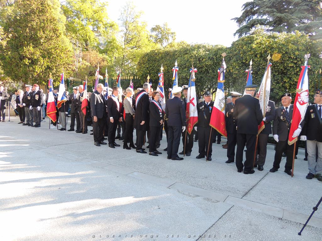 DSCN0831.JPG -           