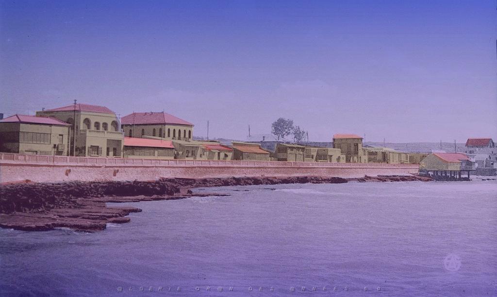 110.JPG