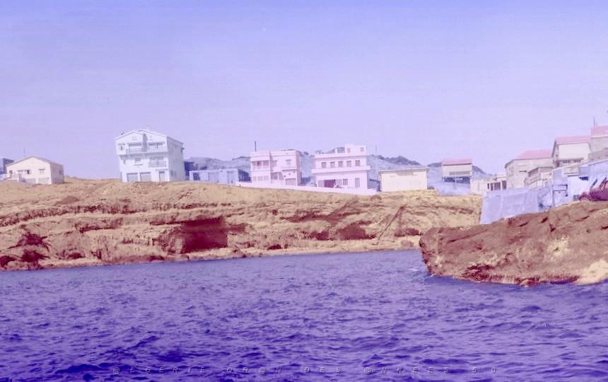 55.jpg