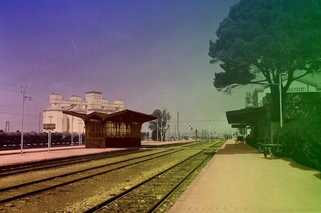 98.jpg