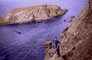 ile-des-rats-falcon1