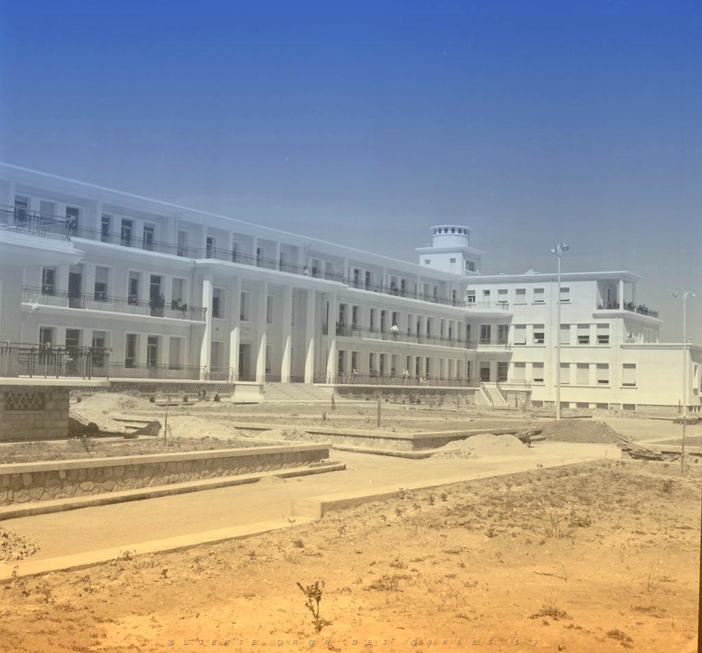 tlemcen.jpg