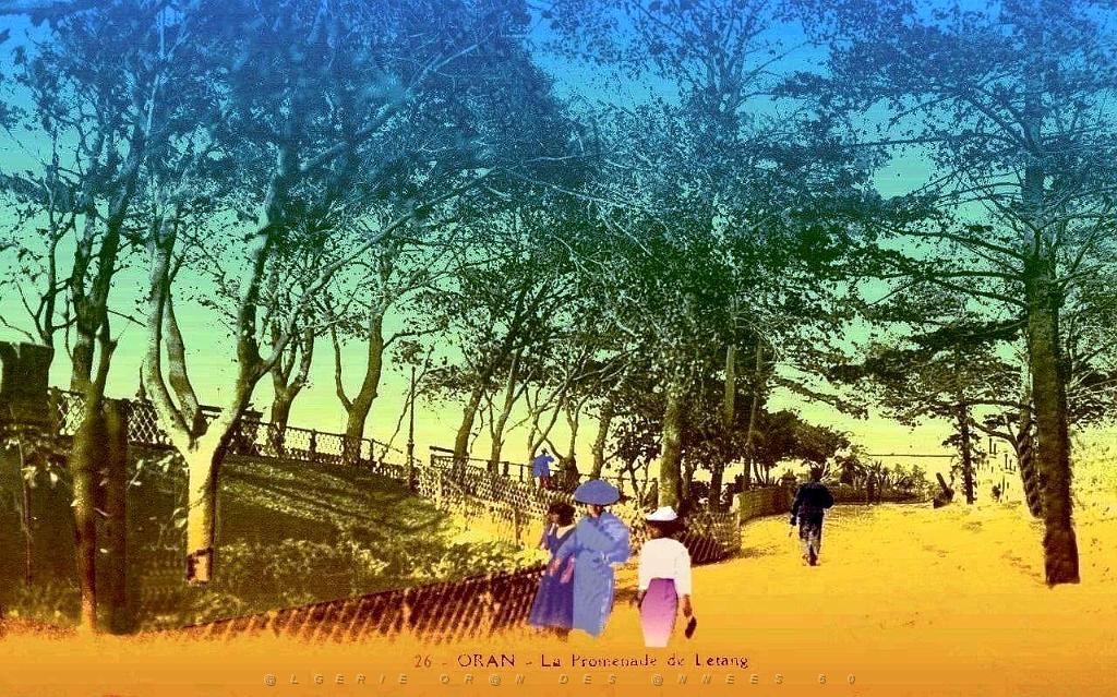 Oran-la-promenade-de-letang.jpg