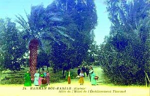 Hammam-Bou-Hadjar