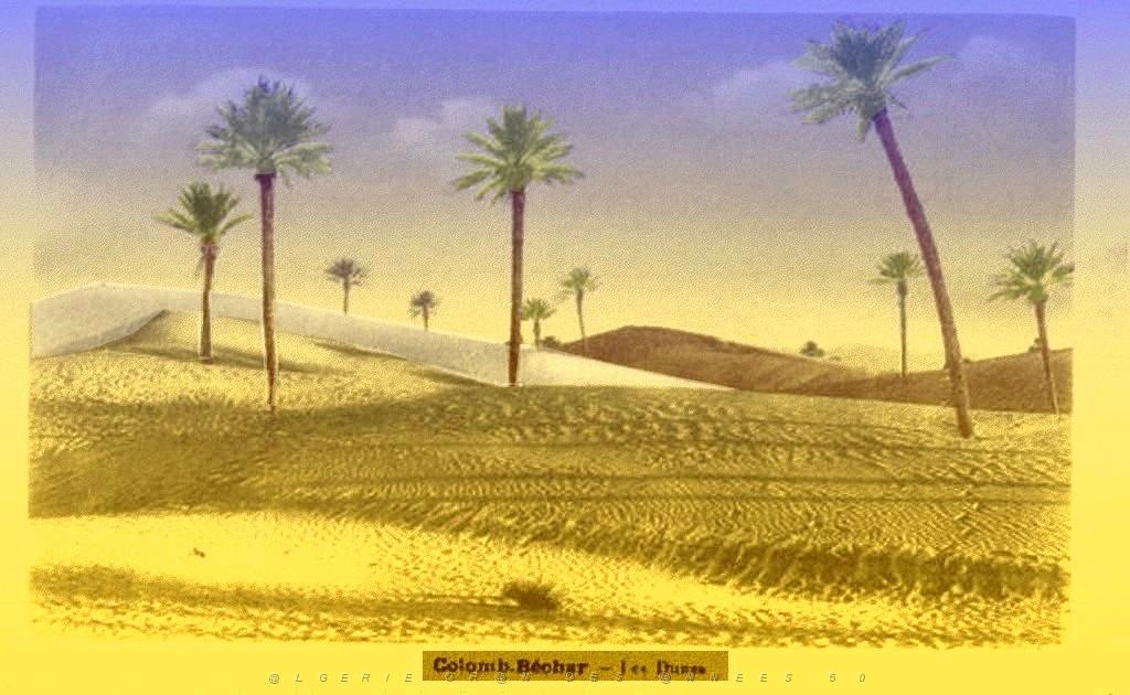 COLOMB-BECHAR-1932-LES-DUNES.jpg