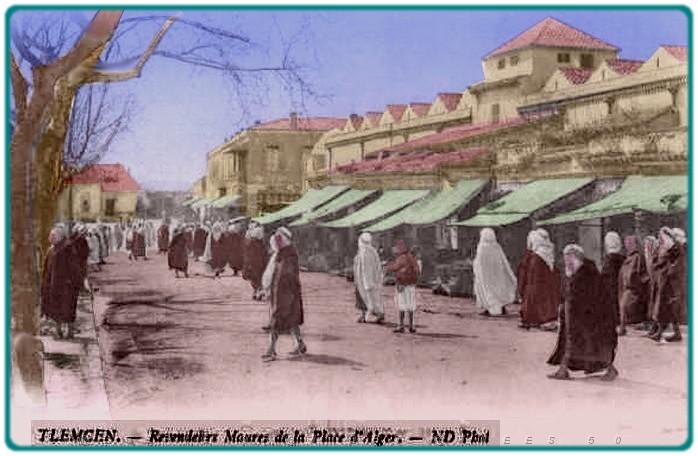 tlemcen1.jpg