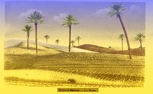 COLOMB-BECHAR-1932-LES-DUNES