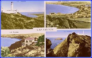 Capfalcon