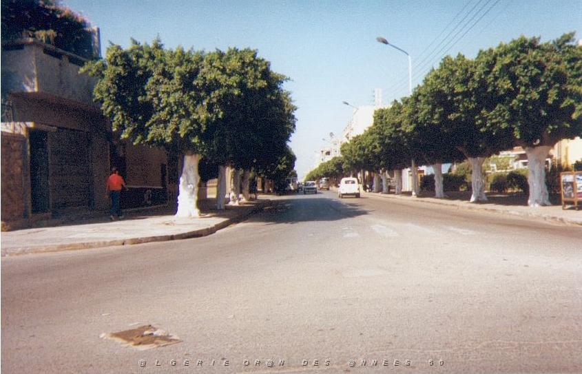 06.jpg