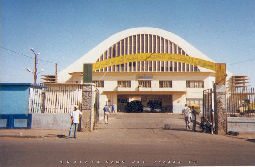 08.jpg