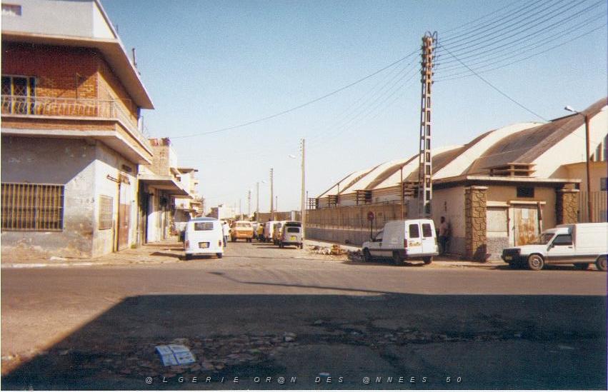 09.jpg