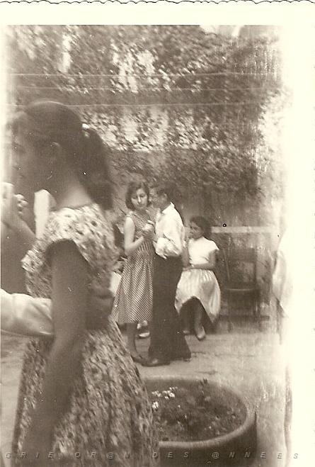 035.jpg