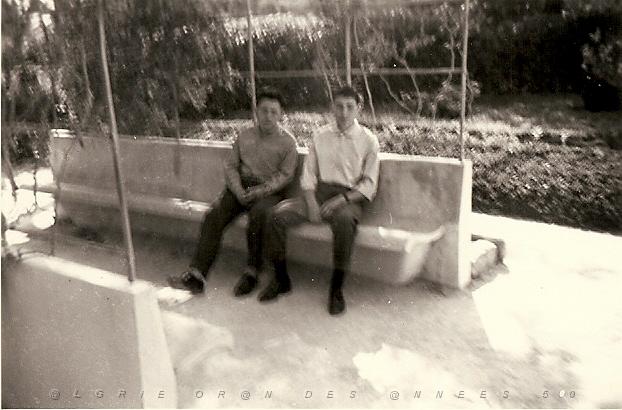 037.jpg