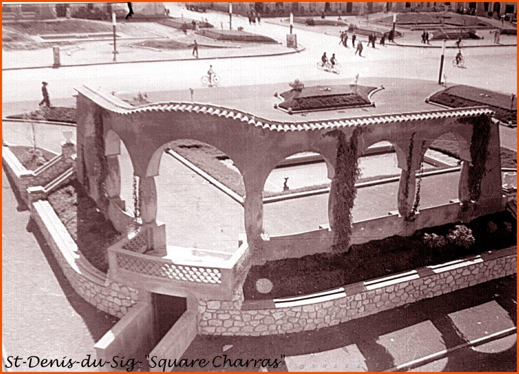 16-SIG-SQUARE.MILOUD.jpg