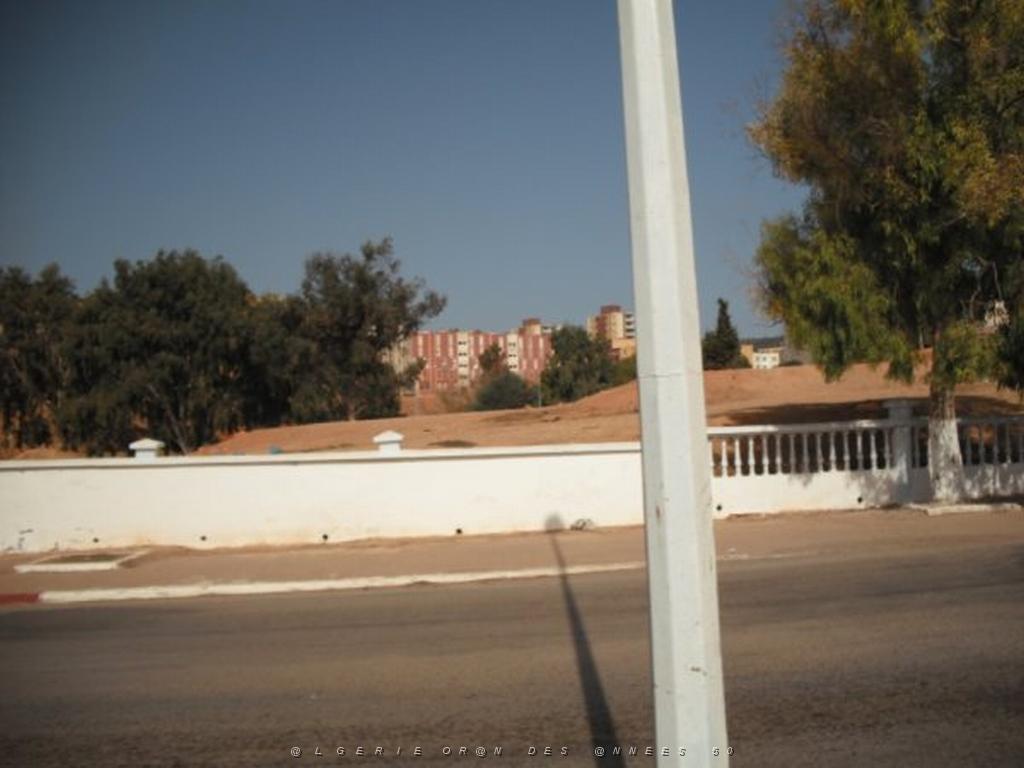 DSCF0041.jpg