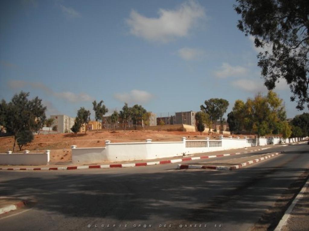 DSCF0045.jpg