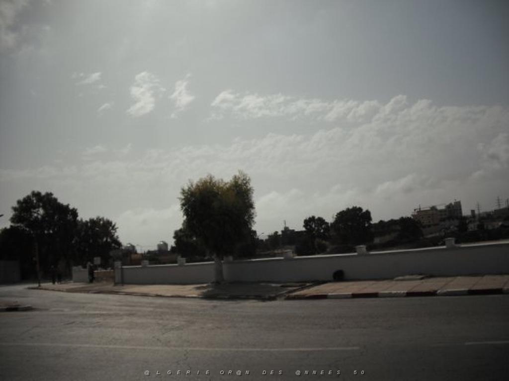 DSCF0067.jpg